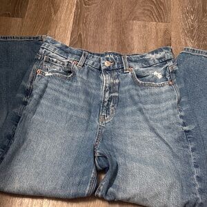 American Eagle Strigid Curvy Mom Jeans - 12 Short